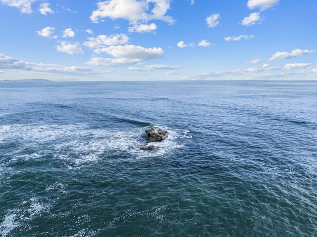 Reef and whitewater, Bird Rock